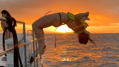 waikiki best crew 2