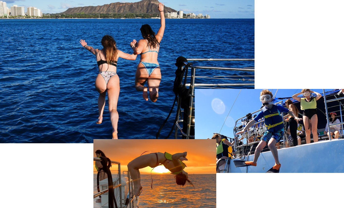 waikiki best crew