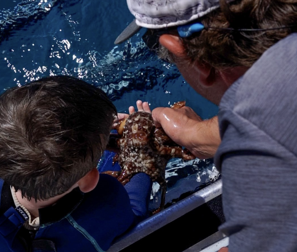 prepare for a snorkeling adventure